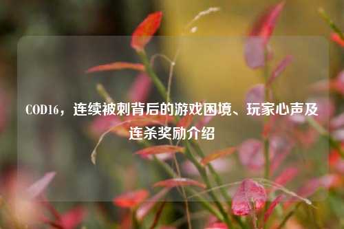 COD16，连续被刺背后的游戏困境、玩家心声及连杀奖励介绍