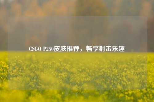 CSGO P250皮肤推荐，畅享射击乐趣