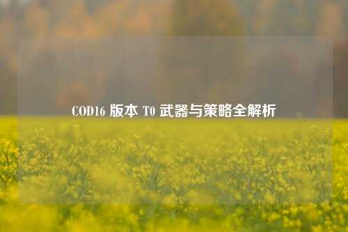 COD16 版本 T0 武器与策略全解析