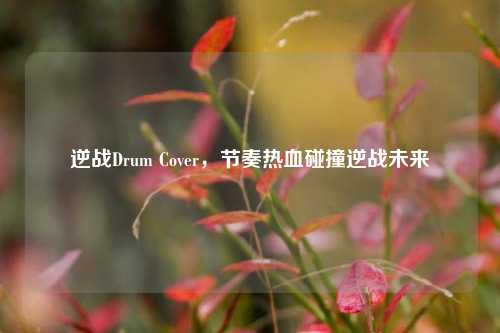 逆战Drum Cover，节奏热血碰撞逆战未来