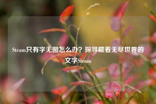 Steam只有字无图怎么办？探寻藏着无尽世界的文字Steam