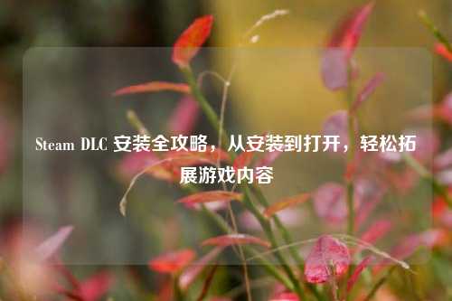 Steam DLC 安装全攻略，从安装到打开，轻松拓展游戏内容