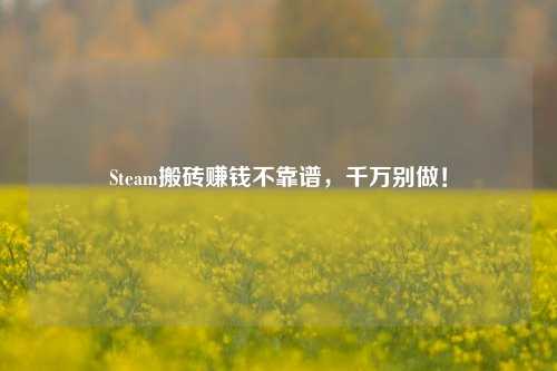 Steam搬砖赚钱不靠谱，千万别做！