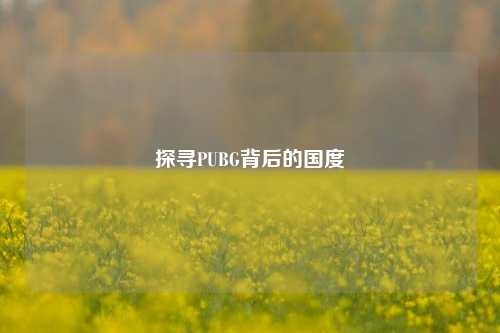 探寻PUBG背后的国度