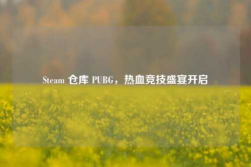 Steam 仓库 PUBG,热血竞技盛宴开启