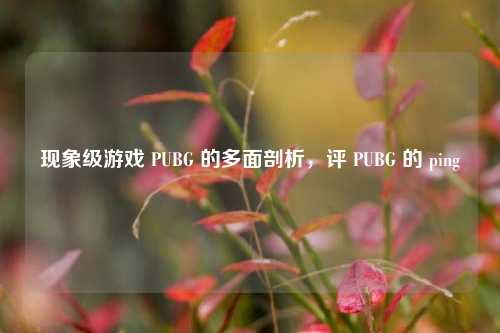 现象级游戏 PUBG 的多面剖析,评 PUBG 的 ping
