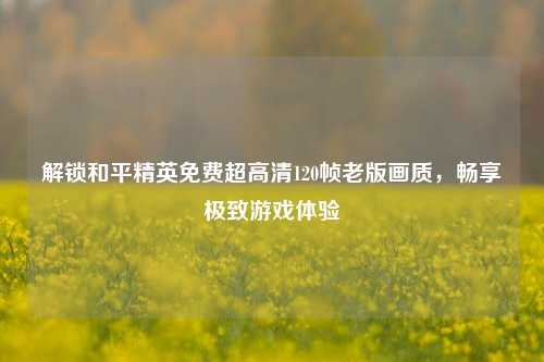 解锁和平精英免费超高清120帧老版画质,畅享极致游戏体验