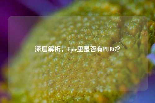 深度解析,Epic里是否有PUBG?