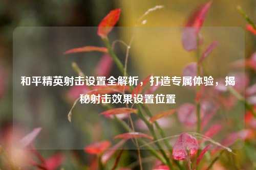 和平精英射击设置全解析,打造专属体验,揭秘射击效果设置位置