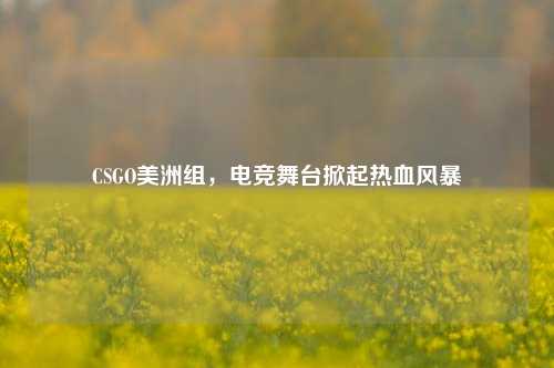 CSGO美洲组，电竞舞台掀起热血风暴