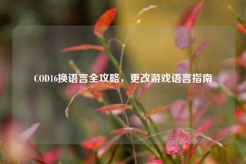 COD16换语言全攻略,更改游戏语言指南