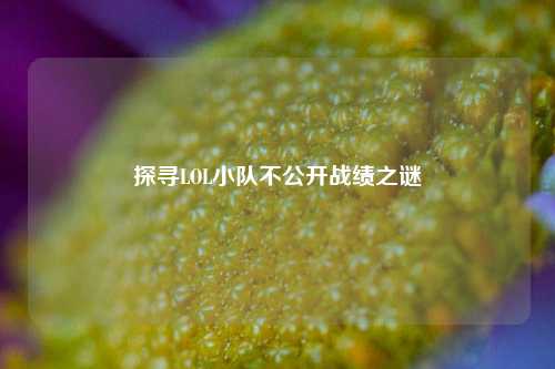 探寻LOL小队不公开战绩之谜