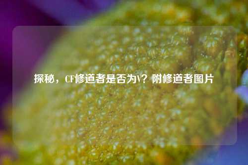 探秘，CF修道者是否为V？附修道者图片