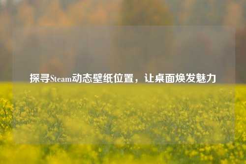 探寻Steam动态壁纸位置,让桌面焕发魅力