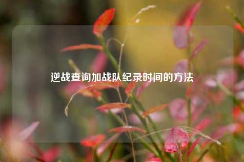 逆战查询加战队纪录时间的方法