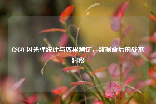 CSGO 闪光弹统计与效果测试,数据背后的战术洞察
