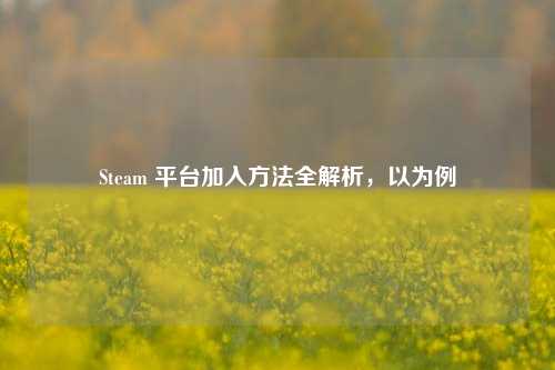 Steam 平台加入方法全解析,以为例