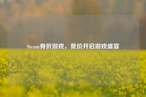 Steam骨折游戏,低价开启游戏盛宴