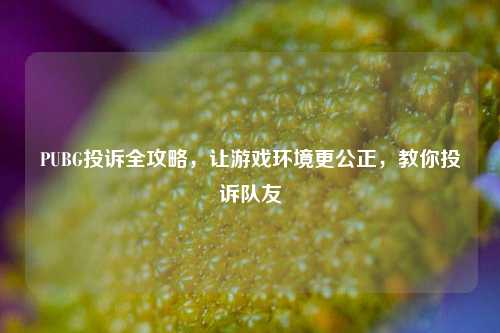 PUBG投诉全攻略,让游戏环境更公正,教你投诉队友