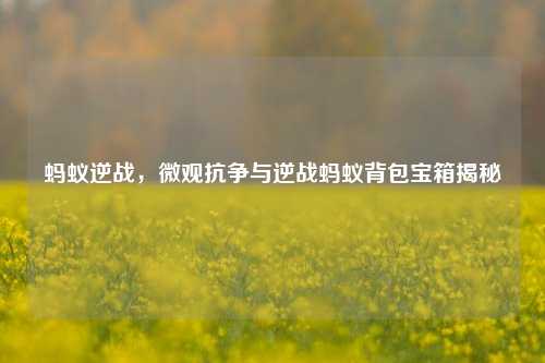 蚂蚁逆战,微观抗争与逆战蚂蚁背包宝箱揭秘
