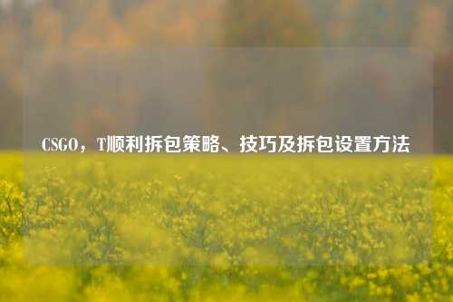 CSGO,T顺利拆包策略、技巧及拆包设置方法
