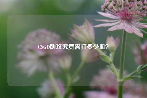 CSGO助攻究竟需打多少血?