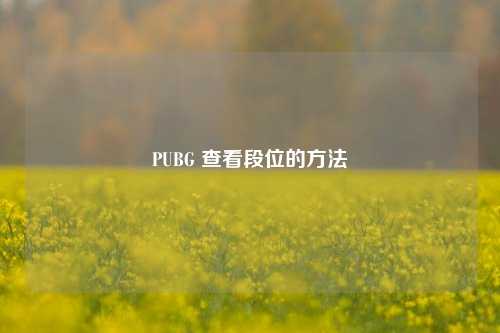 PUBG 查看段位的方法
