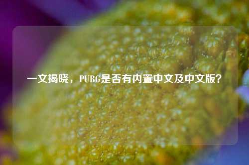 一文揭晓,PUBG是否有内置中文及中文版?