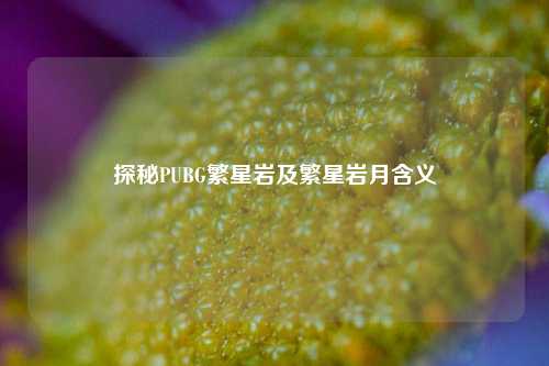 探秘PUBG繁星岩及繁星岩月含义