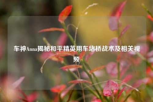 车神Anna揭秘和平精英用车堵桥战术及相关视频