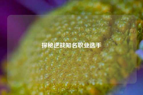探秘逆战知名职业选手