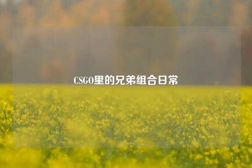 CSGO里的兄弟组合日常