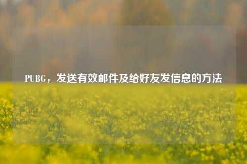 PUBG,发送有效邮件及给好友发信息的方法