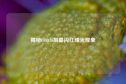揭秘COD16屏幕闪红绿光现象