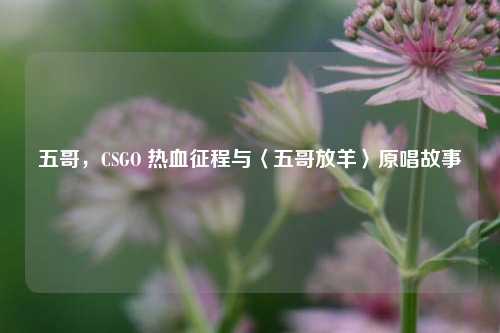 五哥,CSGO 热血征程与〈五哥放羊〉原唱故事