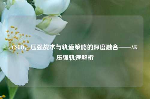 CSGO,压强战术与轨道策略的深度融合——AK压强轨迹解析