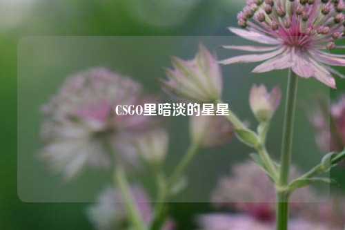 CSGO里暗淡的星星
