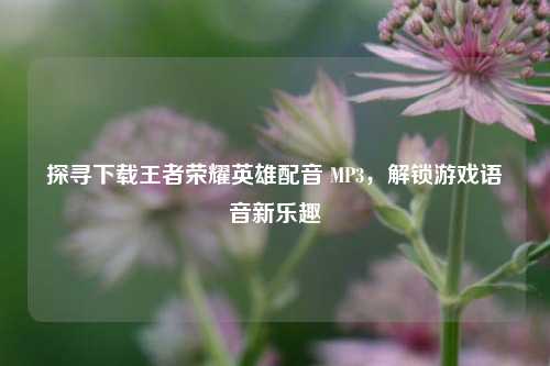 探寻下载王者荣耀英雄配音 MP3，解锁游戏语音新乐趣