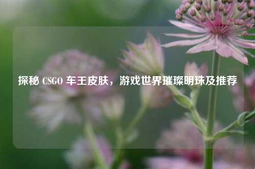 探秘 CSGO 车王皮肤,游戏世界璀璨明珠及推荐
