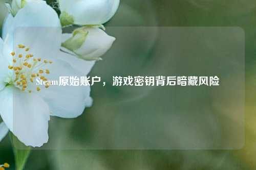 Steam原始账户,游戏密钥背后暗藏风险