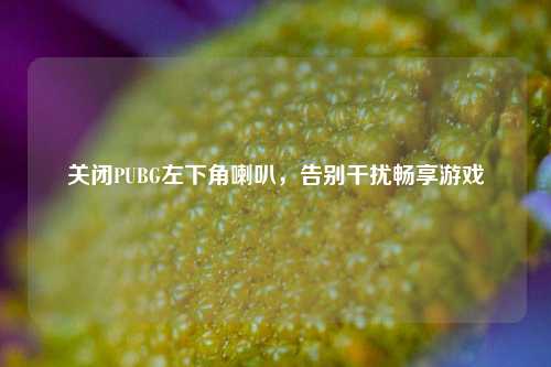 关闭PUBG左下角喇叭,告别干扰畅享游戏