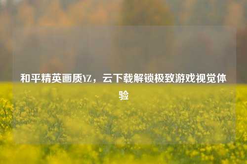 和平精英画质YZ,云下载解锁极致游戏视觉体验