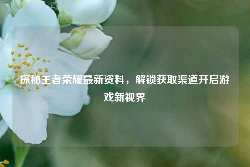 探秘王者荣耀最新资料,解锁获取渠道开启游戏新视界