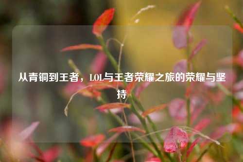 从青铜到王者,LOL与王者荣耀之旅的荣耀与坚持