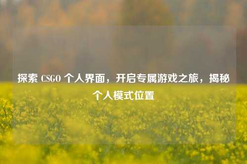 探索 CSGO 个人界面,开启专属游戏之旅,揭秘个人模式位置