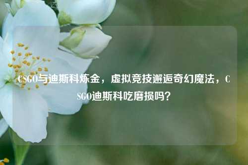 CSGO与迪斯科炼金,虚拟竞技邂逅奇幻魔法,CSGO迪斯科吃磨损吗?