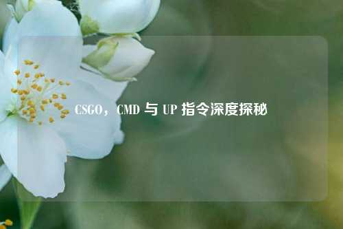 CSGO,CMD 与 UP 指令深度探秘
