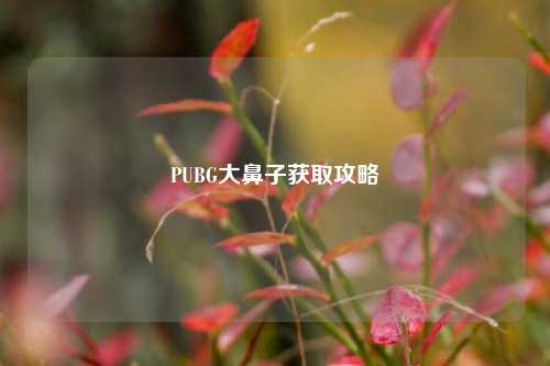 PUBG大鼻子获取攻略