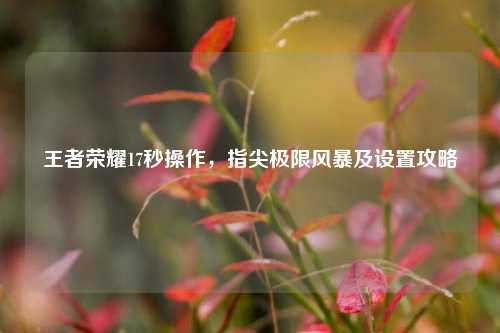 王者荣耀17秒操作,指尖极限风暴及设置攻略