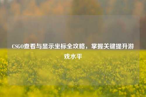 CSGO查看与显示坐标全攻略,掌握关键提升游戏水平
